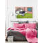 «Boston Terrier Sleeping» par Jay Schmetz, reproduction sur toile-22200937