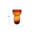 Round Glass Vase