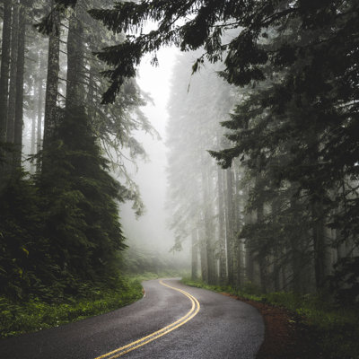 Pacific Northwest Woods