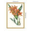 «Tropicals IV» par Jennifer Paxton Parker, reproduction d'art sur toile encadrée-112655000