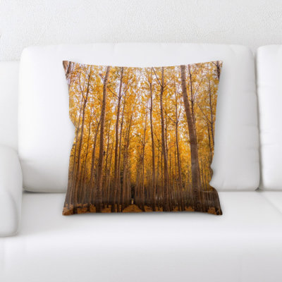 Housse et insert de coussin carré Hamerton