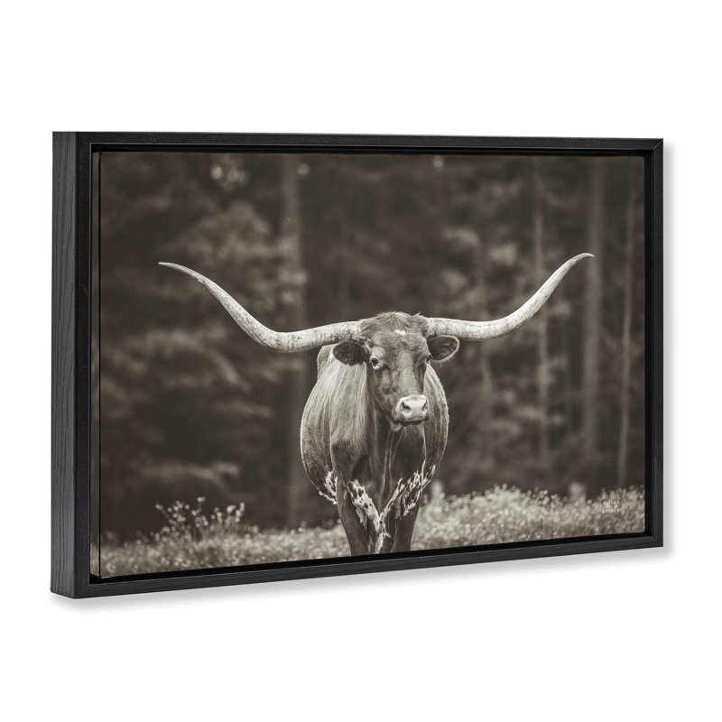  Longhorn Among Flowers Floater Canvas by Nathan Larson, Jet Black Floater Frame, 17" H x 25" W