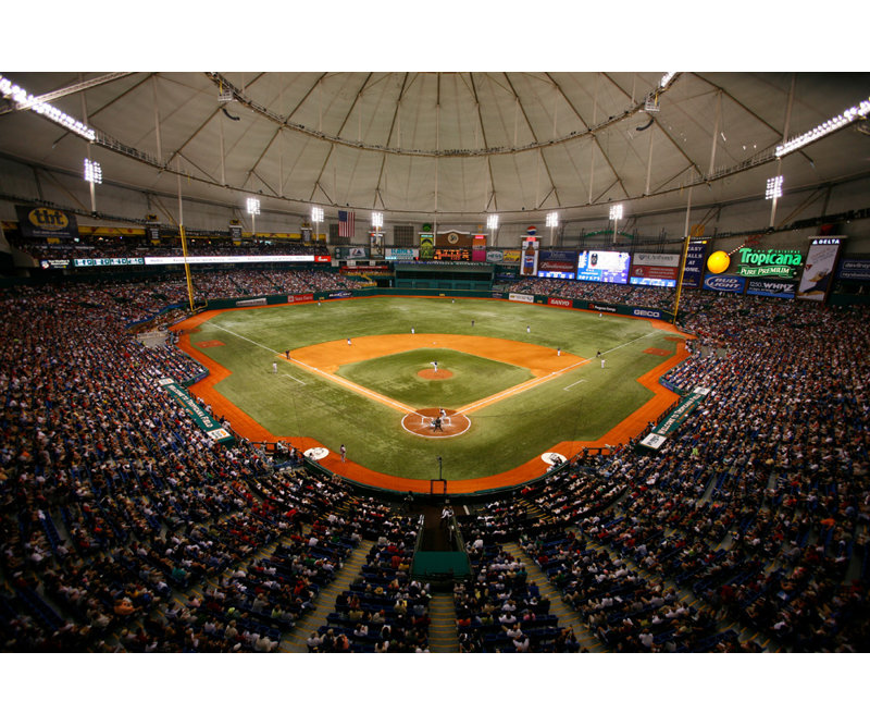 Tropicana Field, 12" H x 18" W
