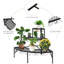 Metal Plant Stand