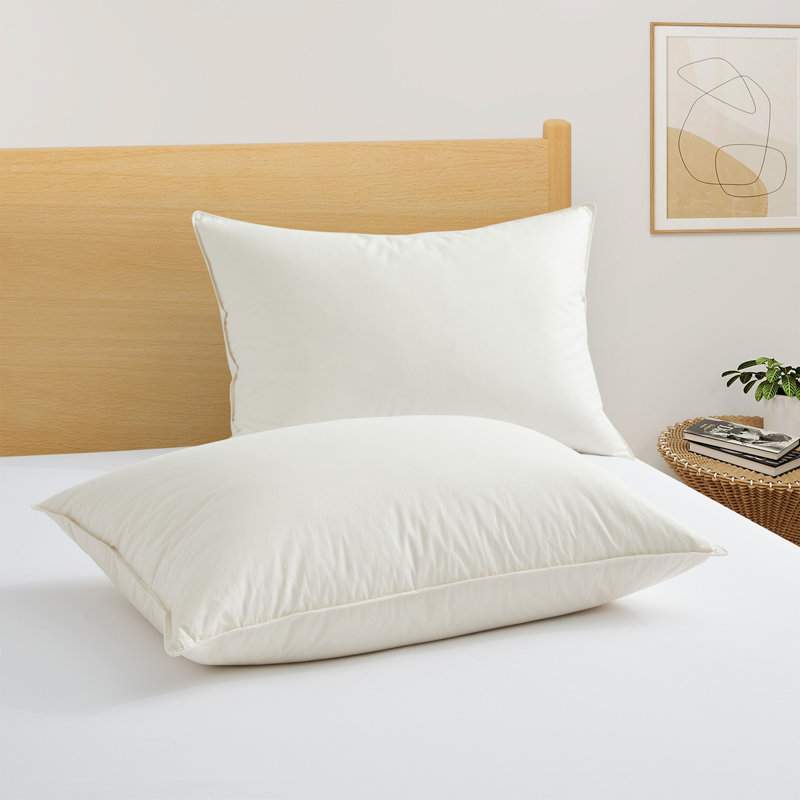 Oreiller 50% duvet d'oie blanche, Très grand lit
