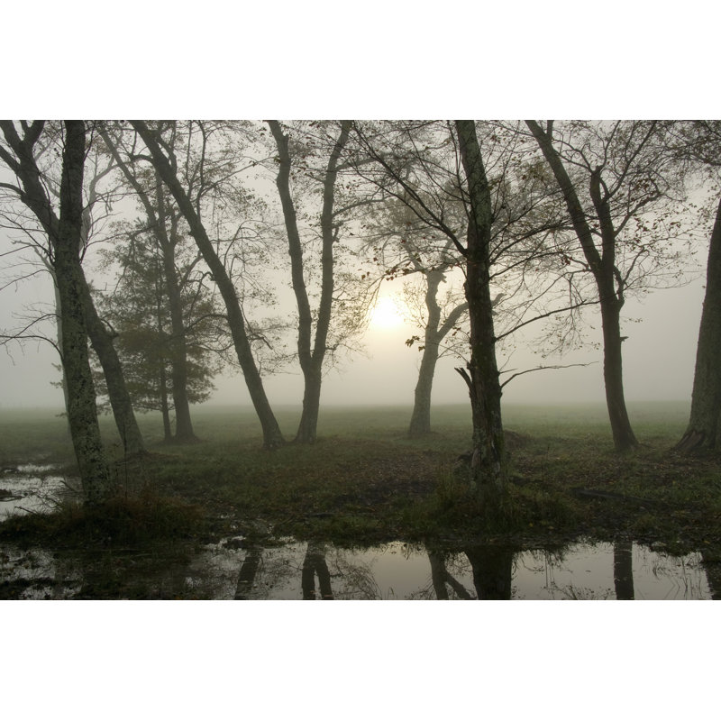 Reflets de la nature, H 8 po x l 12 po x P 1,25 po