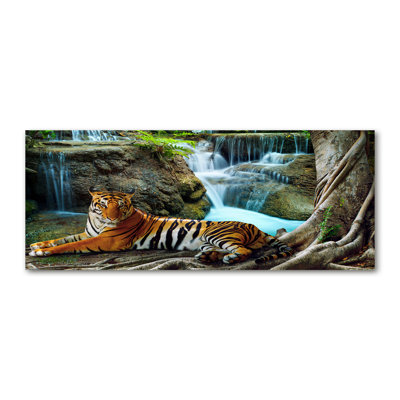 Tiger Waterfall - No Frame Print on Canvas