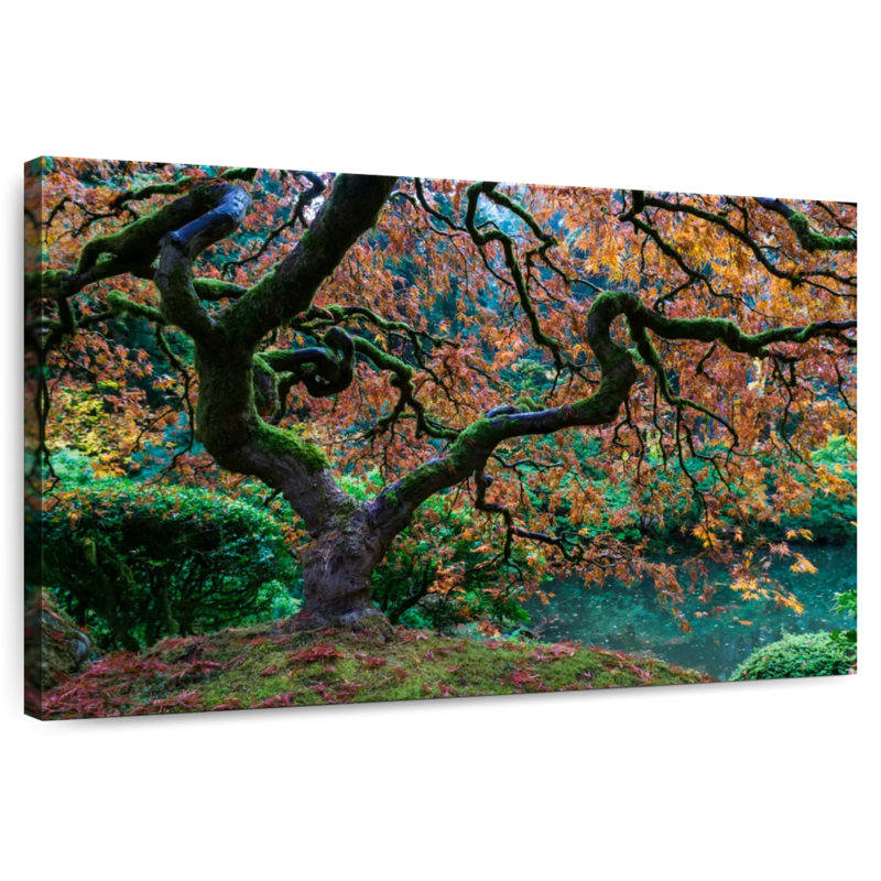 Harnek Japanese Maple Foliage, 30" H x 45" W