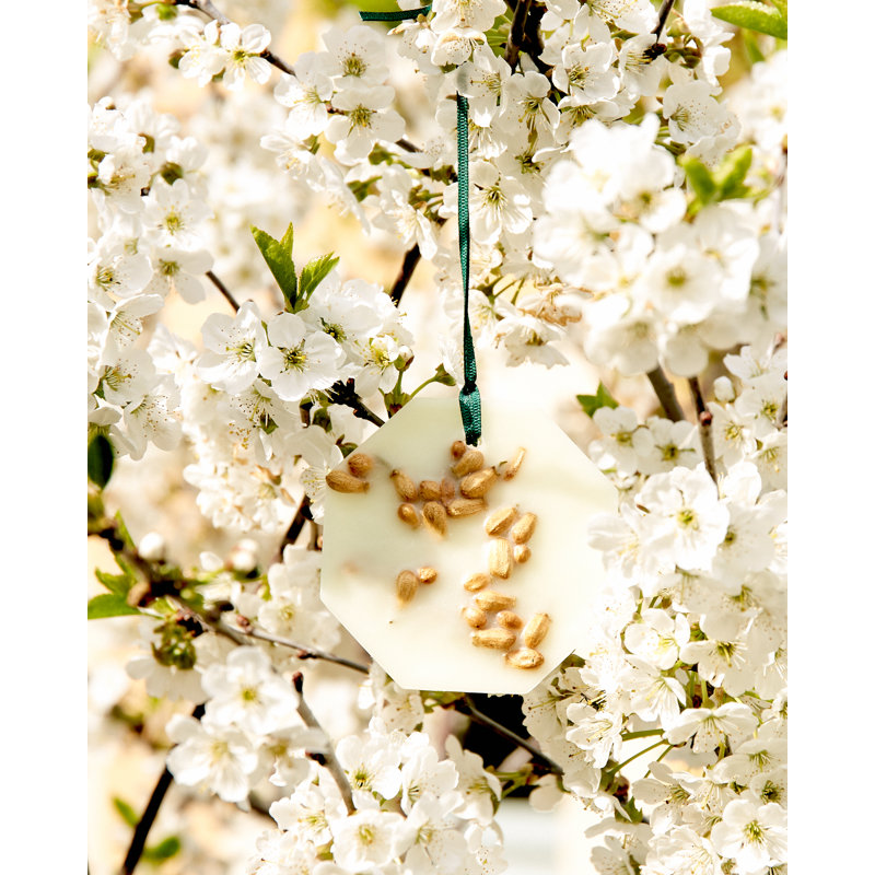 Orange Blossom Botanical Pallet