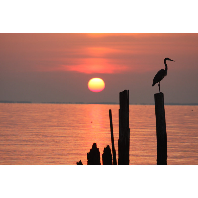 Sunrise On Chesapeake Bay by Ymn - Wrapped Canvas Print, 81cm H x 122cm W x 3.8cm D