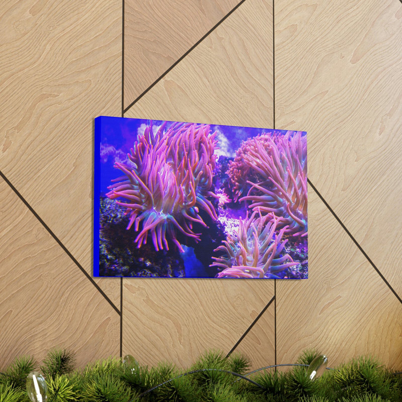 No Frame Print on Canvas, 12cm H x 16cm W