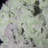 Cardyn Landscape & Nature Crystal