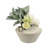 Textured Terracotta Decorative Vase with Dual Handles Modern Accent for Floral Arrangements