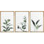 Ensemble de 3 plantes vertes et florales vertes-91874902-91874899