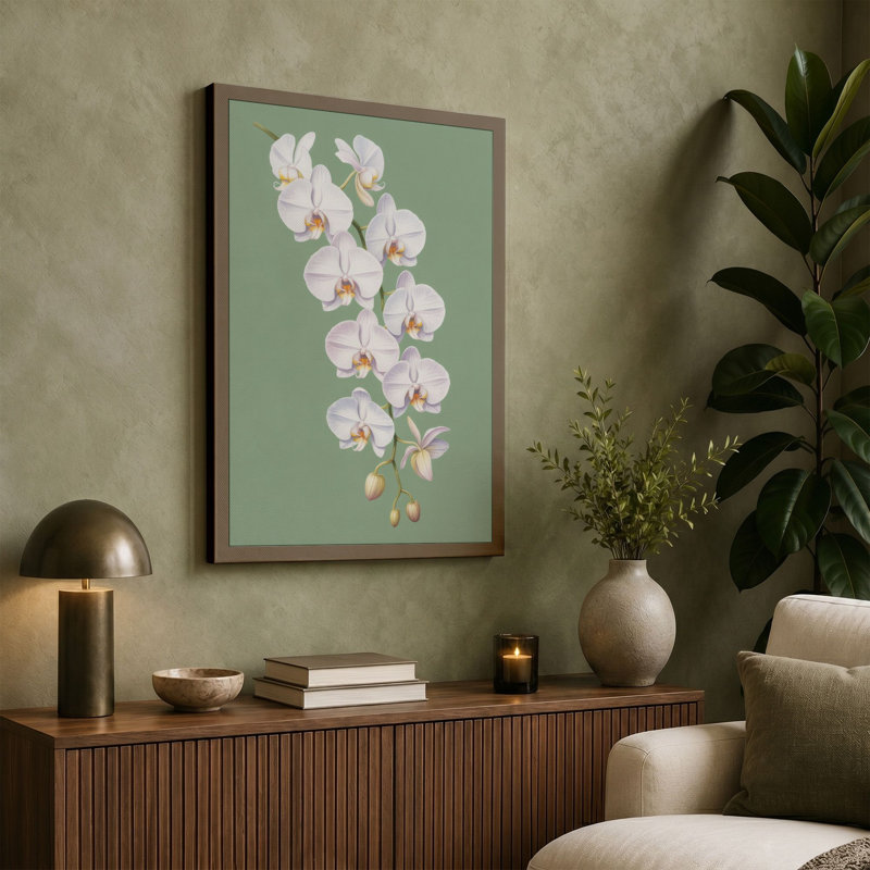 Orchid Study Botanical - Wrapped Canvas, 18x12 - 45.7 x 30.5 cm, Terracotta Border