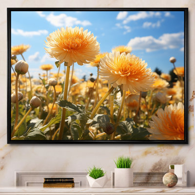 " Dandelion Sunlit Petals I "