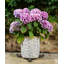 Elara Weather Resistant Planter Feet