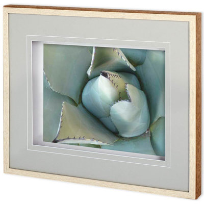 «Agave Détail» par Alison Jerry, reproduction d'art encadrée sous verre