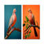 Corail compagnon colombe - ensemble de 2 reproductions d'art sur toile colombe-931149563-931149560