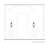 Aster Transparent Lantern Head-1310298893