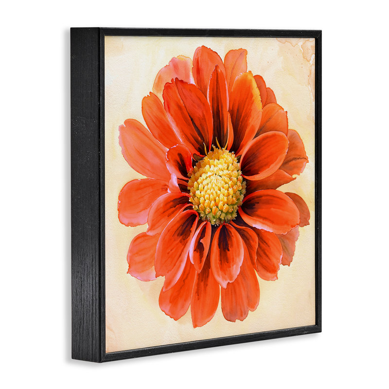 «Orange Dahlia Bloom», art de la giclée encadrée par Christine Zalewski, H 17 po x l 17 po, Giclée encadrée noir minuit