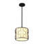Luminaire suspendu 1 lumière