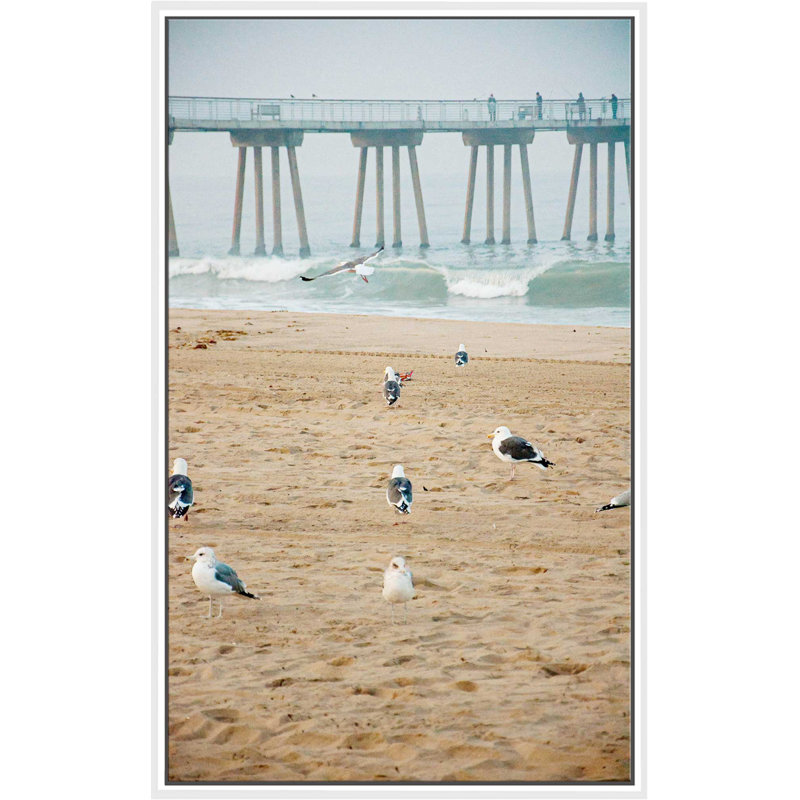 «Seagull Coast», reproduction de photo, H 51,5 po x l 31,5 po x P 2 po, Cadre flottant blanc