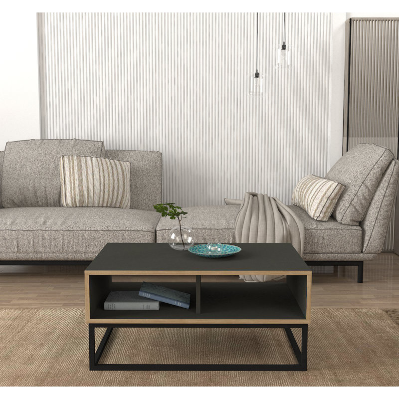 Iyauna Frame Coffee Table with Storage