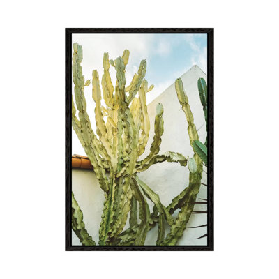 California Cactus by Bethany Young - Print on Canvas