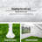 11 Person Tent