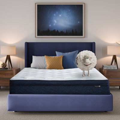 Serta Five Star Mattress Sleep to Go Plush Pillow Top Mattress in a Box by Serta
