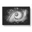 Spiral Staircase - Wrapped Canvas-56641576