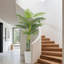 180cm Plant