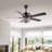 Fransje 52'' Ceiling Fan with Light Kit-1184463323