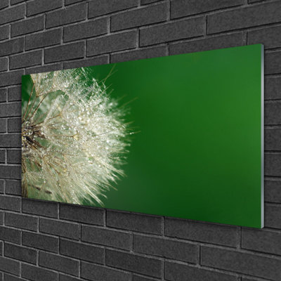 Dandelion Floral - No Frame Print on Glass