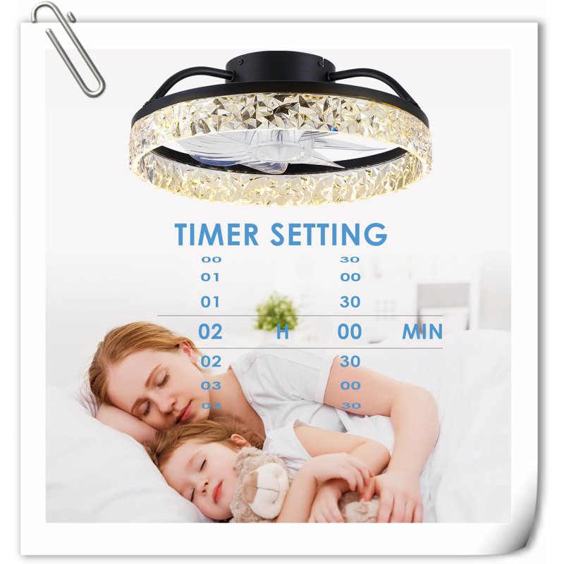 Museau Ceiling Fan with LED Lights