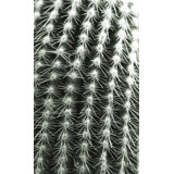 Silver Spikes Grand 1 Print by Christopher Kennedy