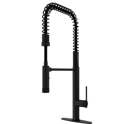 Sterling Pull Down Single Handle Kitchen Faucet