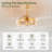 Avienne Ceiling Fan with 12 Light Kit-951284703