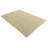 Iniguez Tan Rug
