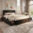 Candler Queen Bed With 4 Drawers And Headboard, Velvet Upholstered Platform Bed, Sturdy Metal & Wooden Slats Support, No Box Spring Needed, Easy Assembly-2000677982-2000677984