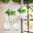 Aeona Weather Resistant Plant Hanger