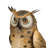 Long Eared Owl 14"
