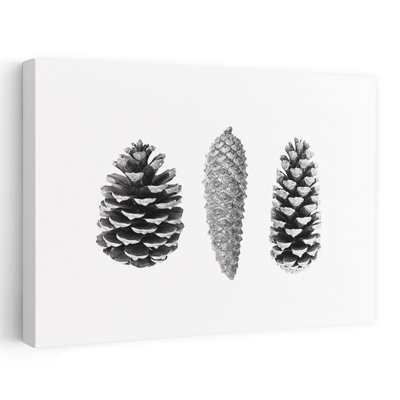 Pine Cone Study Abstract Contemporary Wall Art Print 1 Piece Wrapped Canvas Wall Art