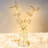 Jeylianis Indoor 10'' Plug-in Fairy String Light