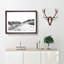 Path Through the Lake District - Picture Frame Graphic Art Print-56704652-56704657