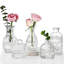 Ensemble de 5 vases à fleurs rétro en verre transparent
