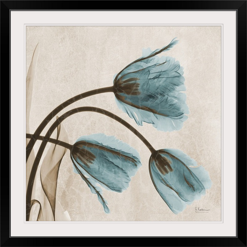 "Manigault" Tulip X-Ray par Kiranjit, reproduction de photo, H 38 po x l 38 po x P 1 po, Cadre noir