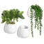Wall Planter-2051002001
