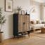 Armoire rustique, rangement rétro, armoire à chaussures pratique